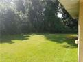 Photo Thumbnail 2