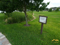 Photo Thumbnail 19